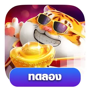 Fortune Tiger